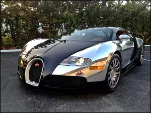 Roślinność, Bugatti, Veyron