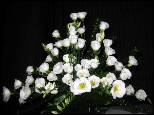 Biała, Kompozycja, Eustoma, Bukiet