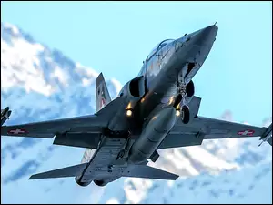 F-5 Tiger, Samolot, Northrop