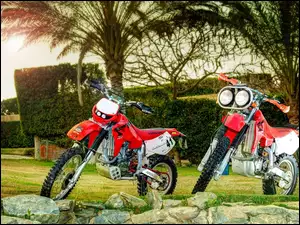 Kamienie, Dwa, Honda XR, Motocykle, Palmy
