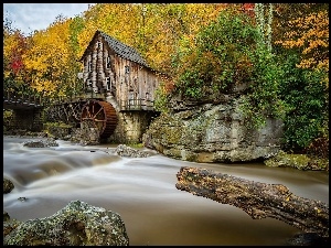Młyn, Skały, Wodny, Las
