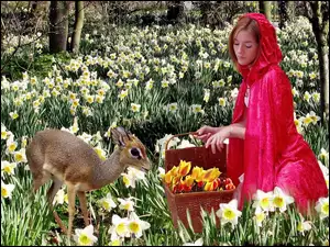 Dziewczyna, Tulipanów, Łąka, Sarenka, Żonkili, Kosz