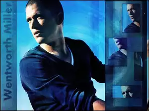 Prison Break, tło, Wentworth Miller, niebieskie