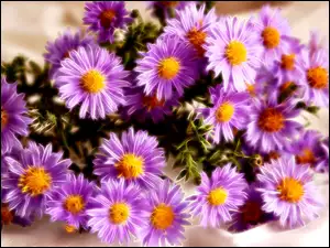 Fractalius, Aster, Grafika
