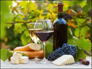 Wino, Winogrona, Butelka, Kieliszki