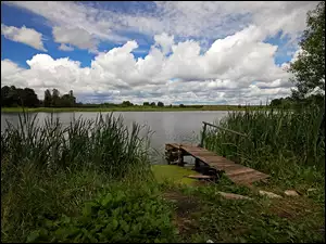 Pomost, Jezioro, Trzcina