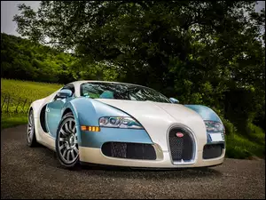 Drzewa, Bugatti Veyron, Droga