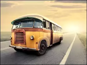 Pola, Autobus, Droga