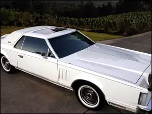 Drzewa, Lincoln, Mark V, Continental, Droga