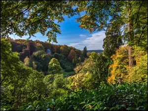 Ogród, Anglia, Park, Stourhead