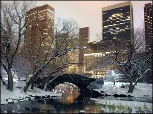 Park, Zima, Nowy Jork, USA