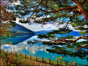 Drzewa, Góry, Jezioro