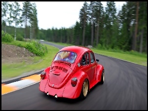 Las, Czerwony, Garbus, Volkswagen, Droga