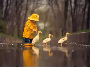 Lód, Dziecko, Kaczki