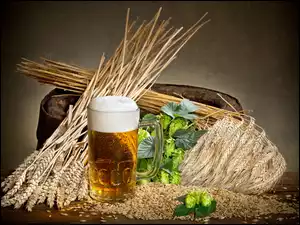 Piwo, Chmiel, Kufel, Zboże