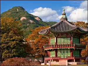 Drzewa, Japonia, Jesień, Dom, Góry