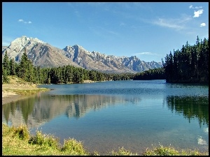 Jezioro, Lato, Góry, Lasy