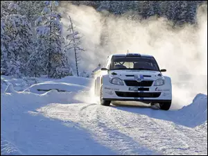 Góra, Rajd, Skoda, Zima, Fabia, Las