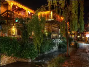 Rośliny, Chiny, Restauracja, Uliczka, Drzewo