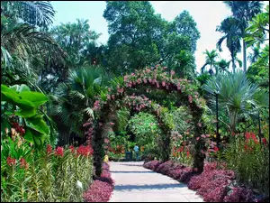 Garden, National, Orchid