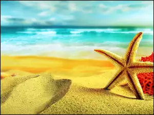 Morze, Koral, Plaża, Rozgwiazda