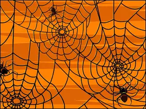 Pająki, Halloween, Pajęczyna
