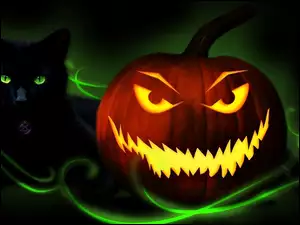 Kot, Halloween, Dynia, Świecąca, Czarny