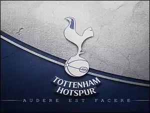 sport, Tottenham Hotspur, piłka nożna