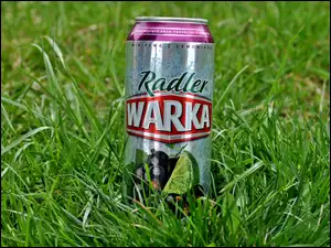 Trawa, Warka, Puszka, Piwo
