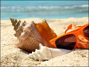 Okulary, Lato, Plaża, Morze, Muszle