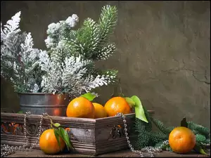 Choinka, Kompozycja, Mandarynki, Dekoracja, Iglak