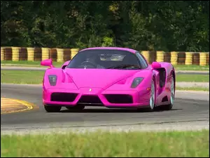 Enzo, Różowe, Ferrari