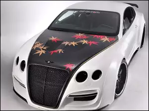 Bentley Continental, Tuning