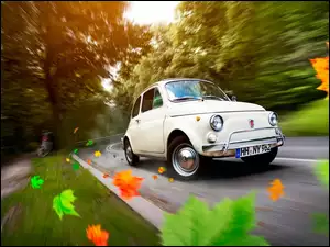 Liście, 500, Samochód, Biały, Jesień, Fiat, Droga