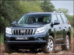 Toyota, Droga, Land Cruiser, Prado TX