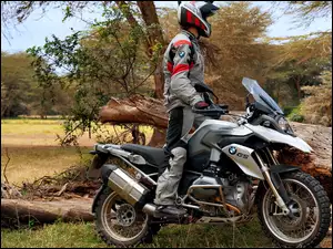 Motocykl, Drzewa, BMW R1200GS, Motocyklista