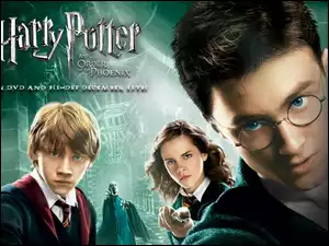 Bohaterowie, Harry, Potter