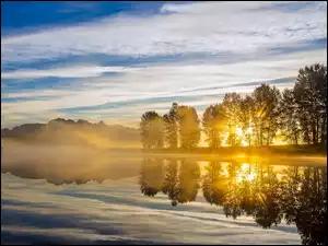 Drzewa, Jezioro, Przebijające, Mgła, Światło