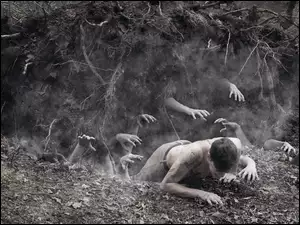 Mężczyzna, Ręce