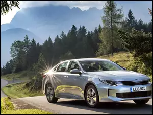 Srebrna Kia Optima mknie po szosie przy lesie
