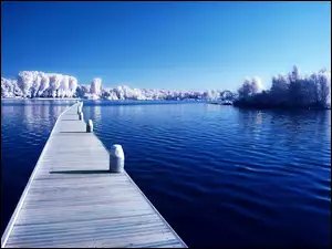 Molo na jeziorze z widokiem na oszronione drzewa