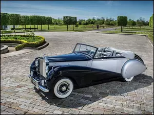 Rolls Royce Silver Dawn rocznik 1952 na tle parku koło fontanny
