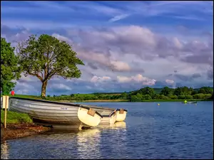 Brzeg, Szkocja, Drzewa, Jezioro Loch Ken, Łódki