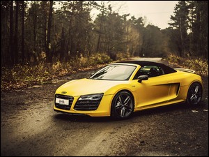 Droga, Audi R8, Las