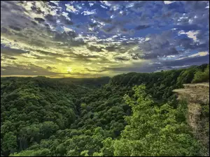 Zachmurzone niebo nad lasem