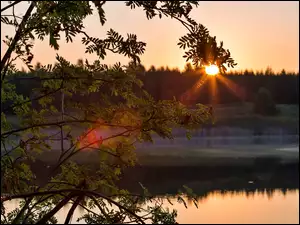 Rzeka, Jarzębina, Promienie, Słońca