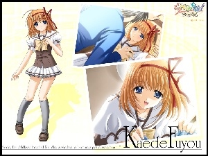 krótka spódniczka, Shuffle, Kaede Fuyou