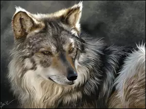 Wilk