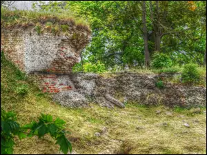 Cegły, Zieleń, Stary, HDR, Mur, Ruiny