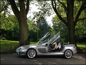 Drzwi, Mercedes SLR, Otwarte